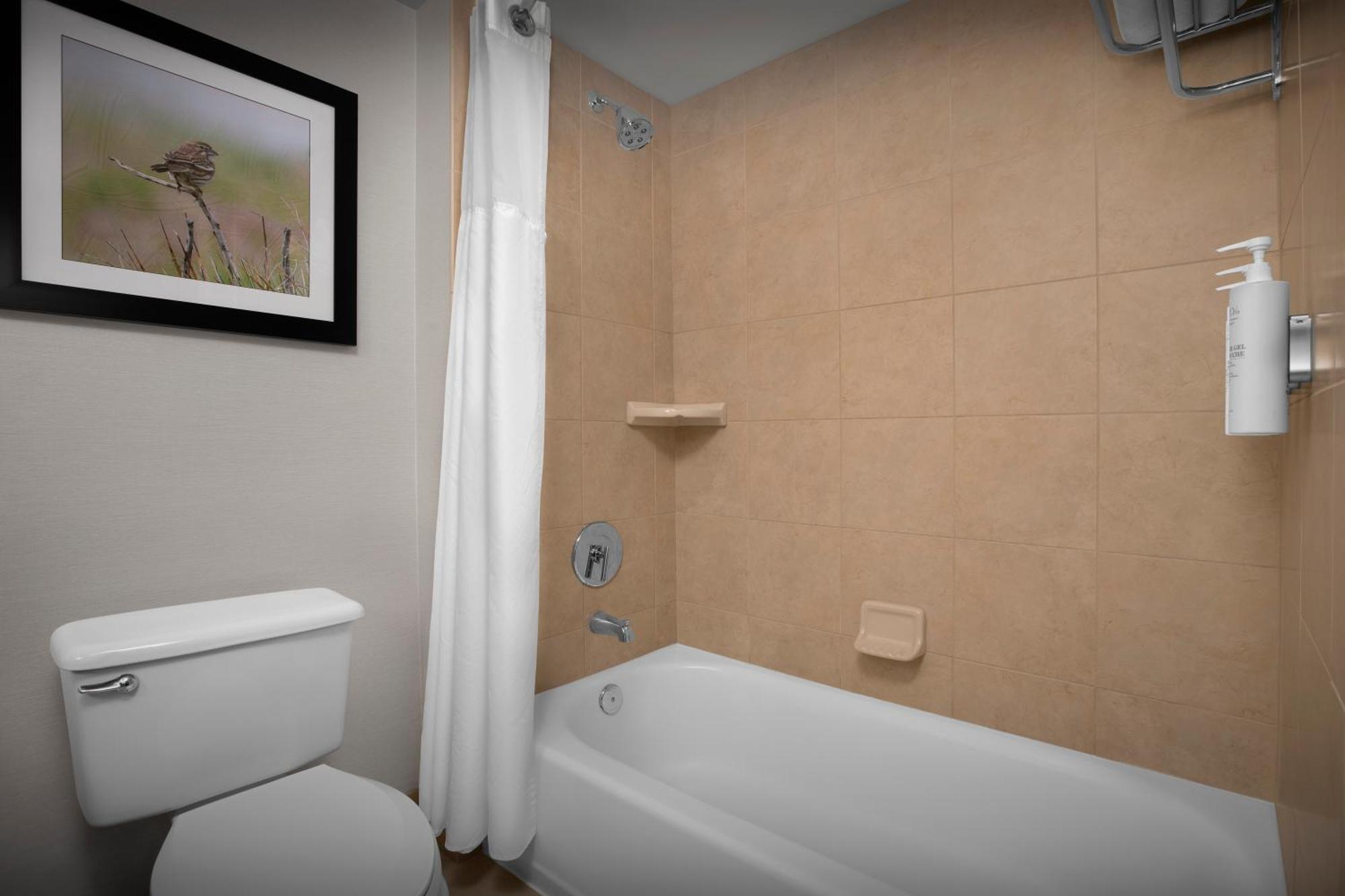 Hilton Garden Inn Denver Хайлендс Ранч Екстериор снимка